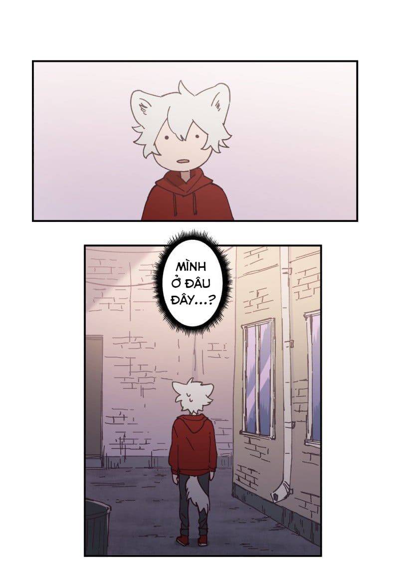 Lumine - Chương 81