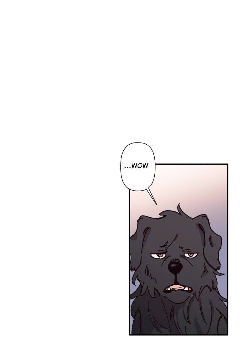 Lumine - Chương 82