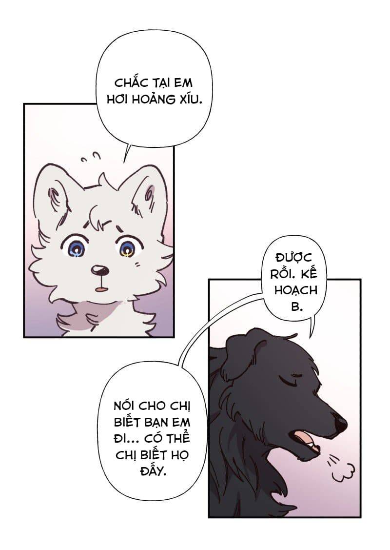 Lumine - Chương 82