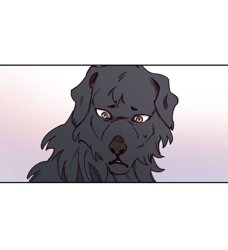 Lumine - Chương 82