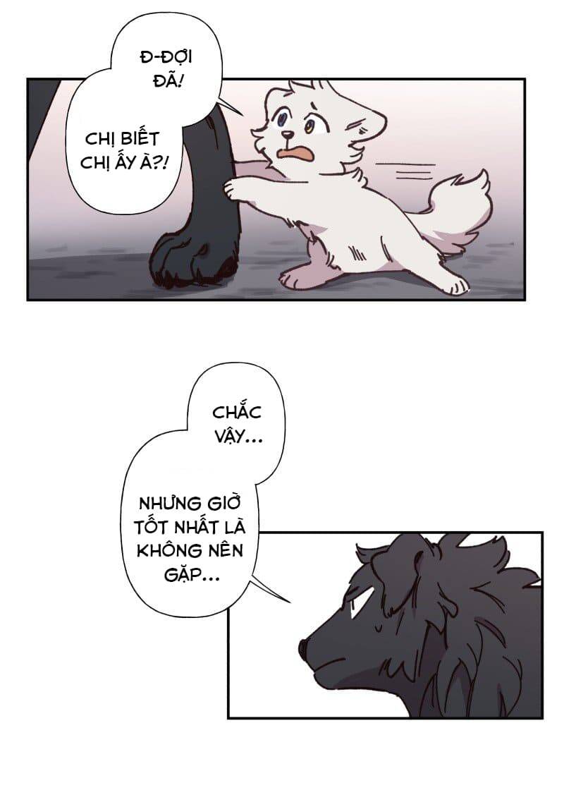 Lumine - Chương 82