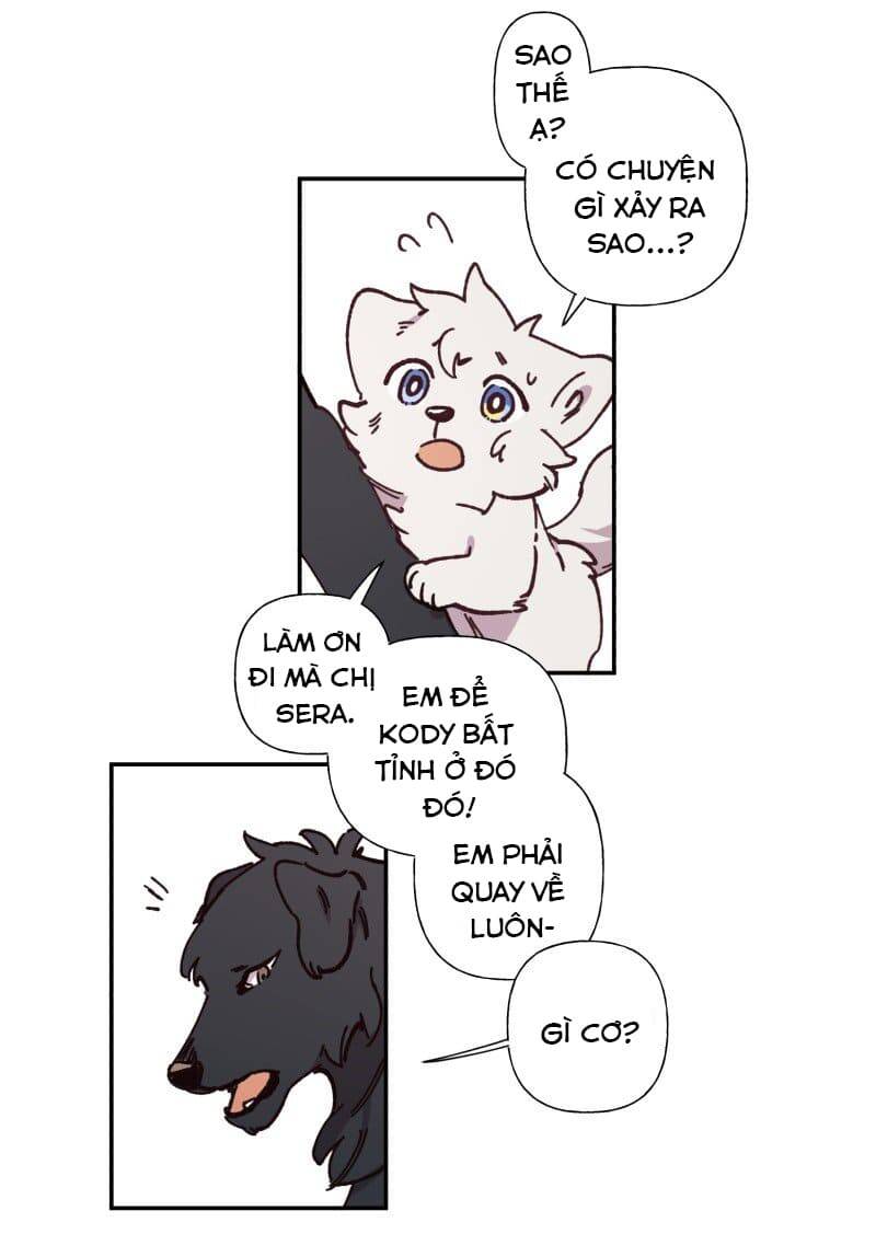 Lumine - Chương 82