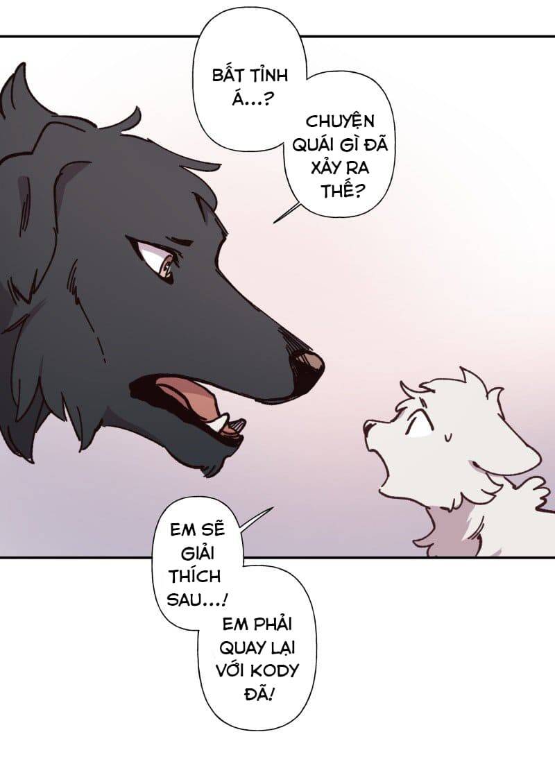 Lumine - Chương 82