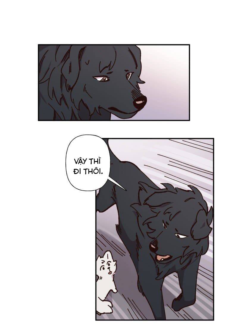 Lumine - Chương 82