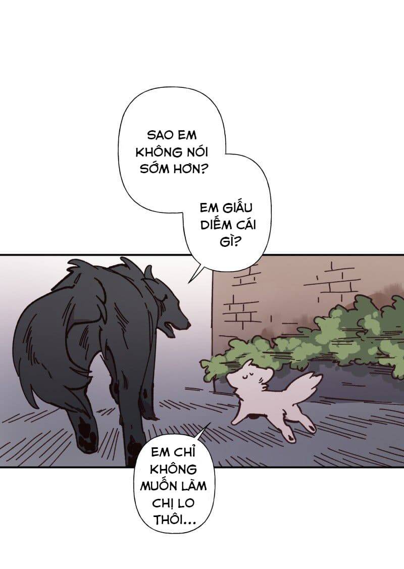 Lumine - Chương 82