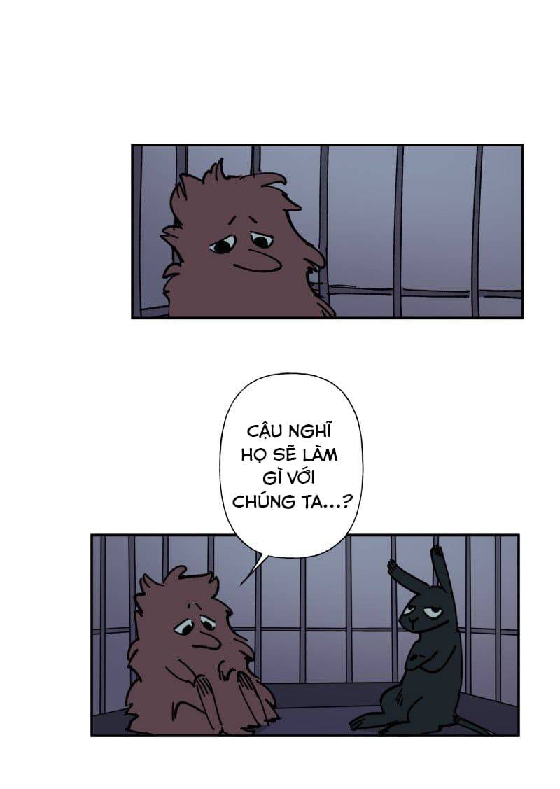 Lumine - Chương 82