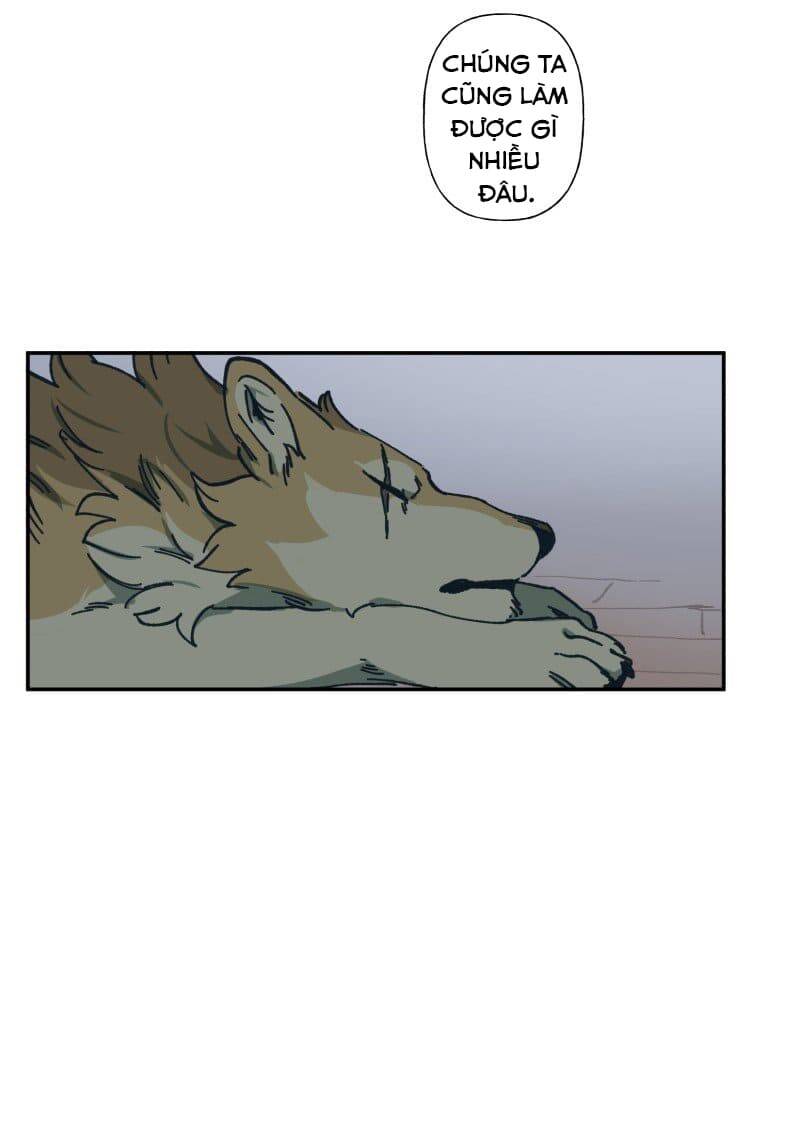 Lumine - Chương 82