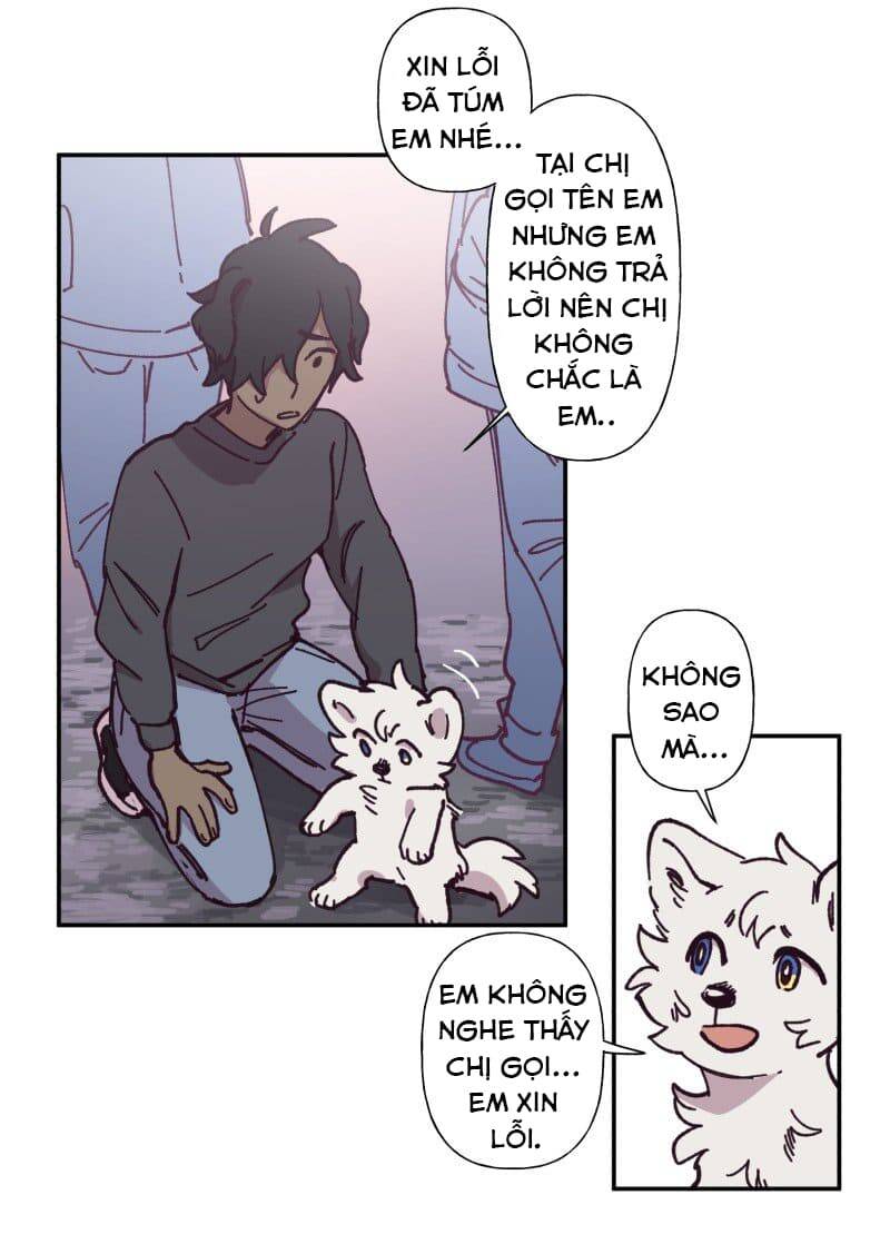 Lumine - Chương 82