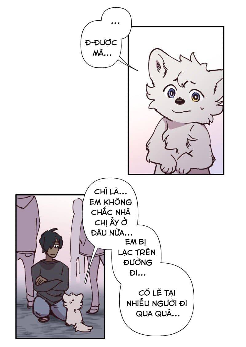 Lumine - Chương 82