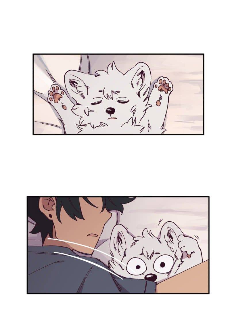 Lumine - Chương 84