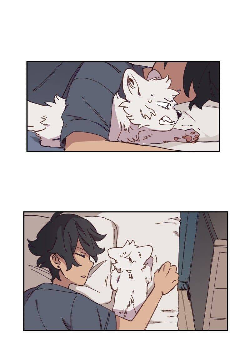 Lumine - Chương 84