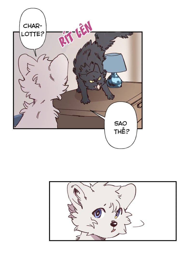 Lumine - Chương 84