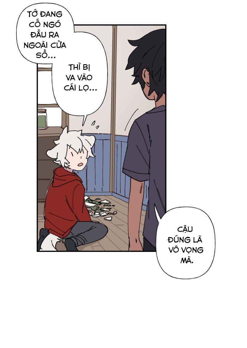 Lumine - Chương 86