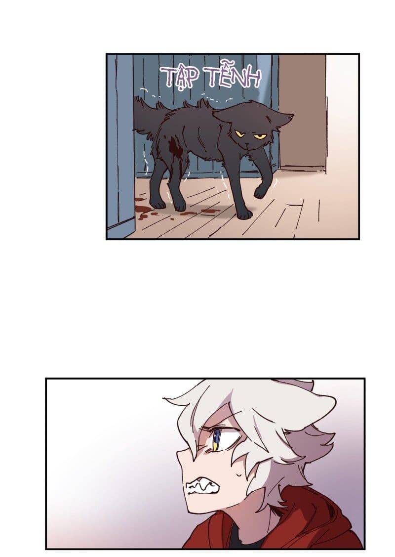 Lumine - Chương 87