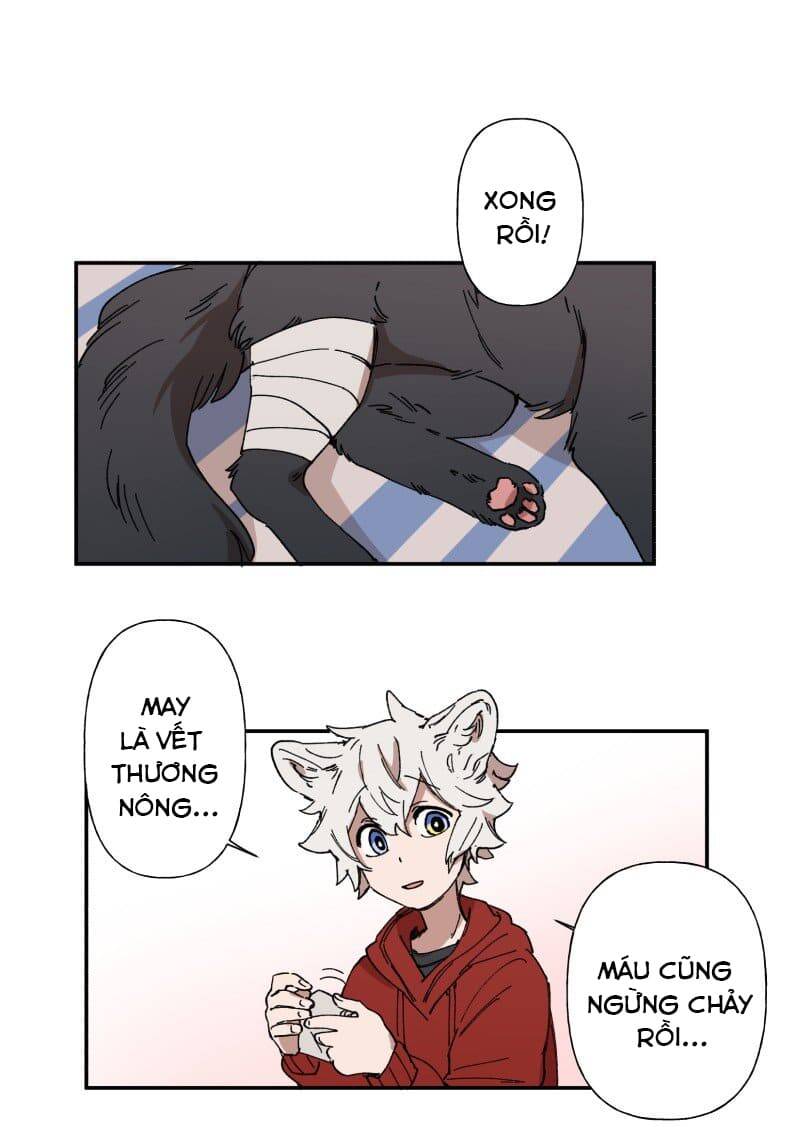 Lumine - Chương 88