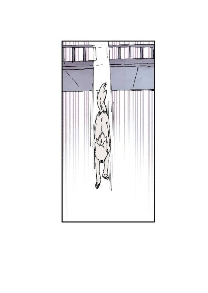 Lumine - Chương 89