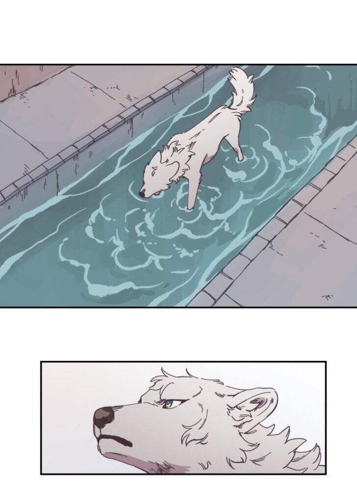 Lumine - Chương 89