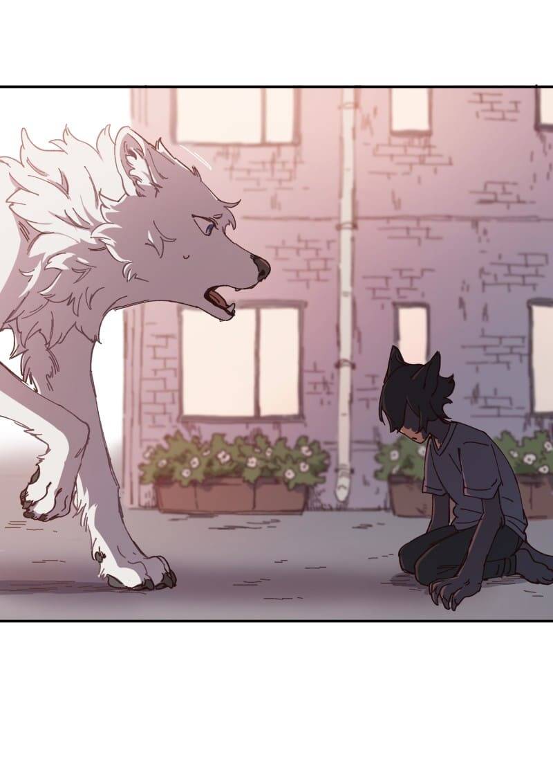 Lumine - Chương 92