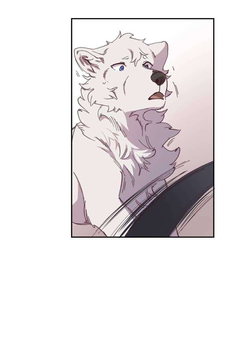 Lumine - Chương 92