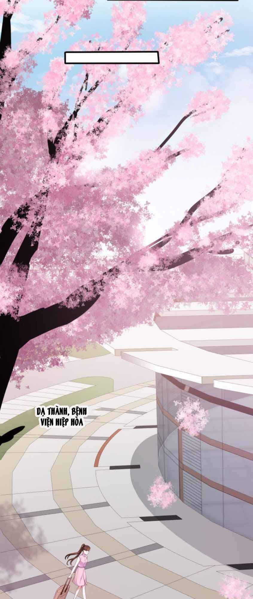 Nhất Sanh Hữu Hỉ - Chương 13