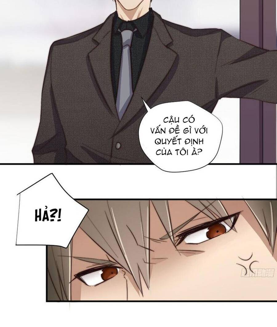 Đơn Phương Yêu Thầm Anh - Chương 14