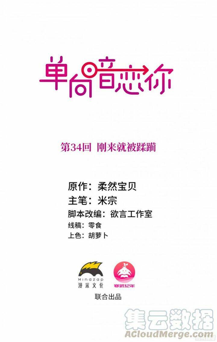 Đơn Phương Yêu Thầm Anh - Chương 34