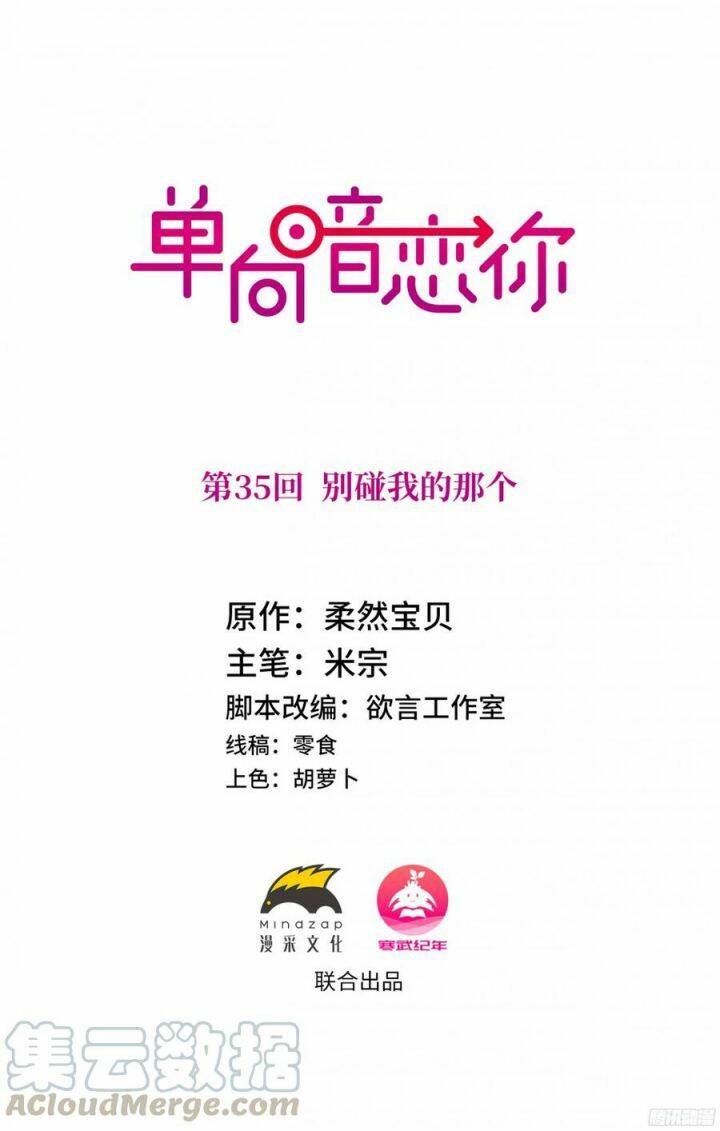 Đơn Phương Yêu Thầm Anh - Chương 35