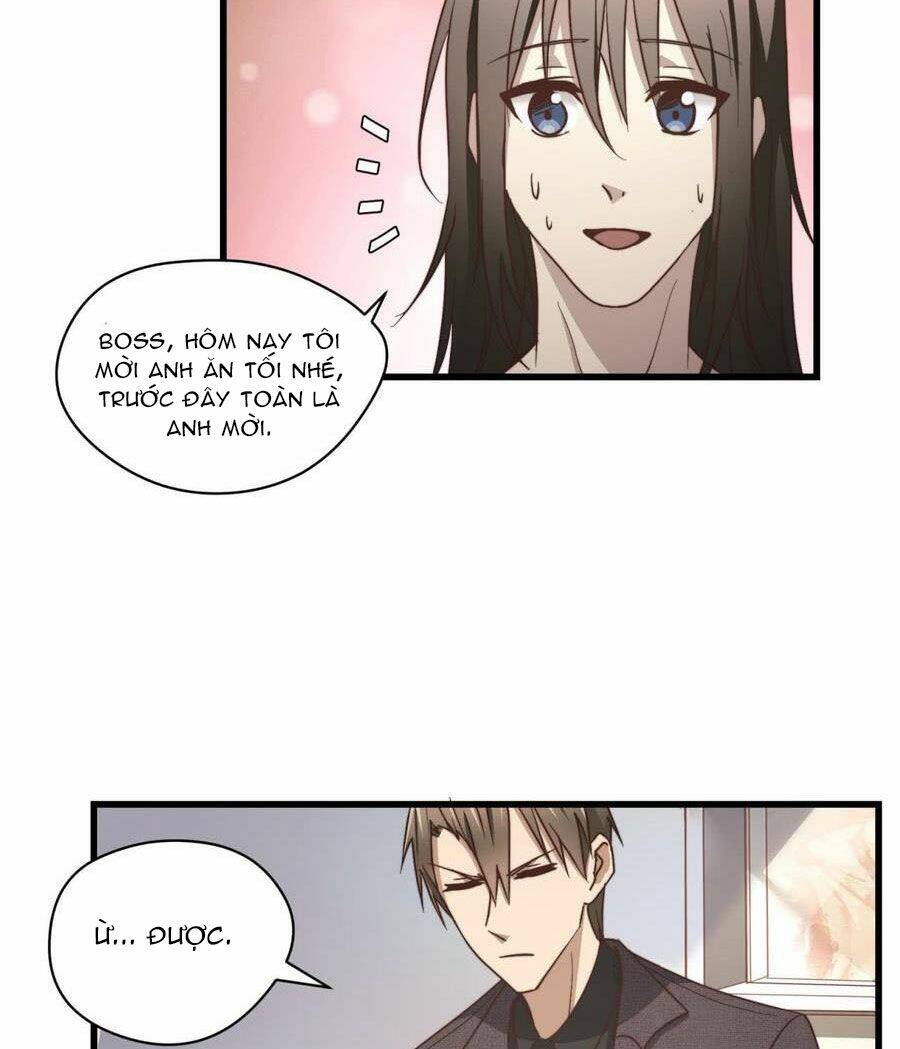 Đơn Phương Yêu Thầm Anh - Chương 66