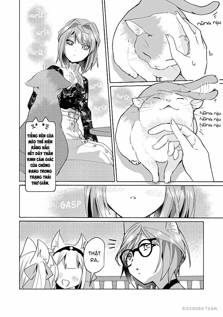 Catulus Syndrome - Chương 42