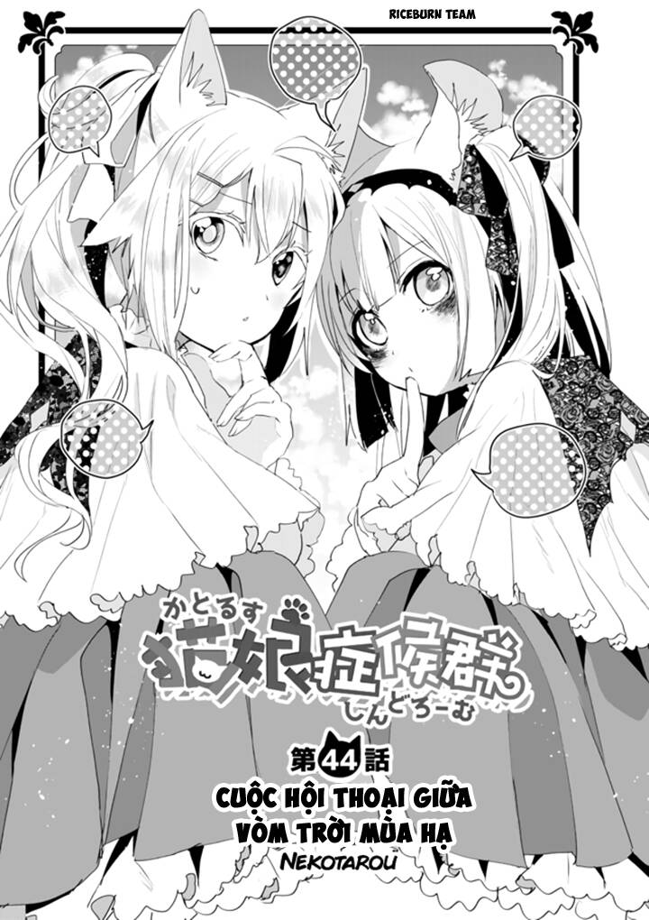 Catulus Syndrome - Chương 44