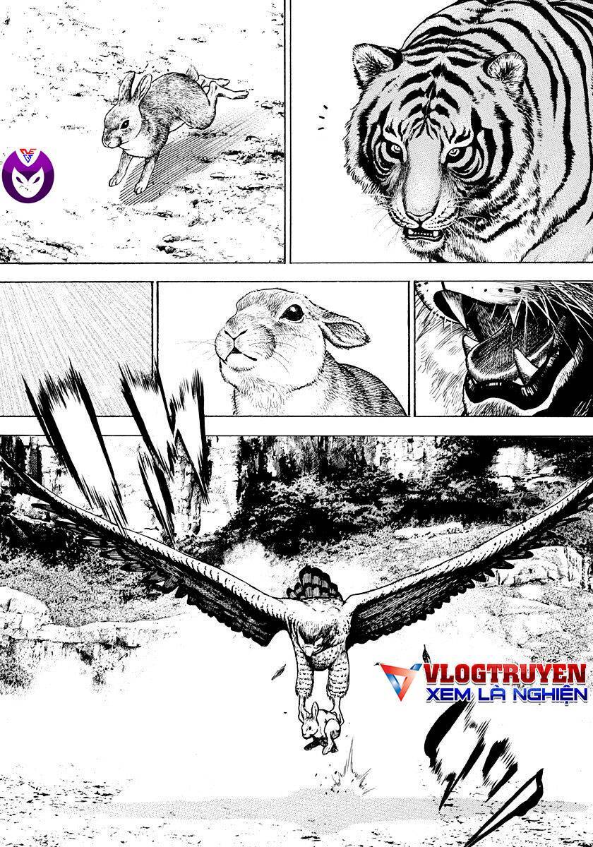 Tough - Miyazawa Kiichi - Chương 425