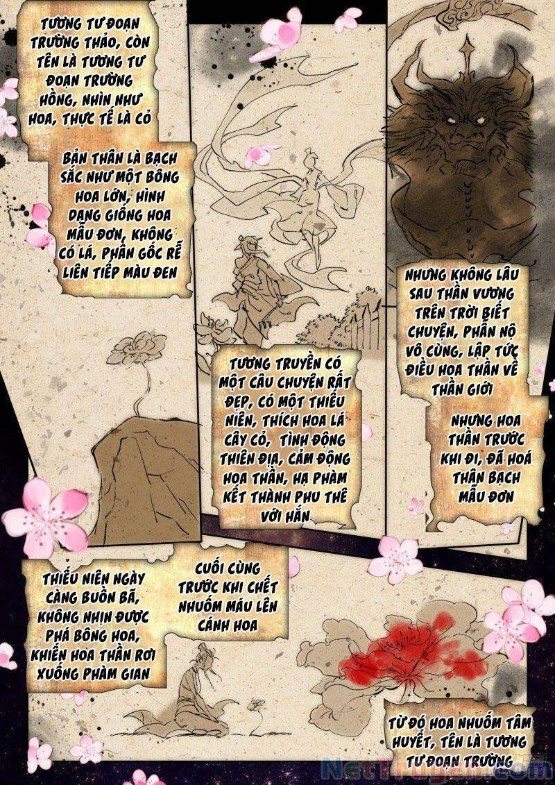 Đấu La Đại Lục 2 - Chương 270