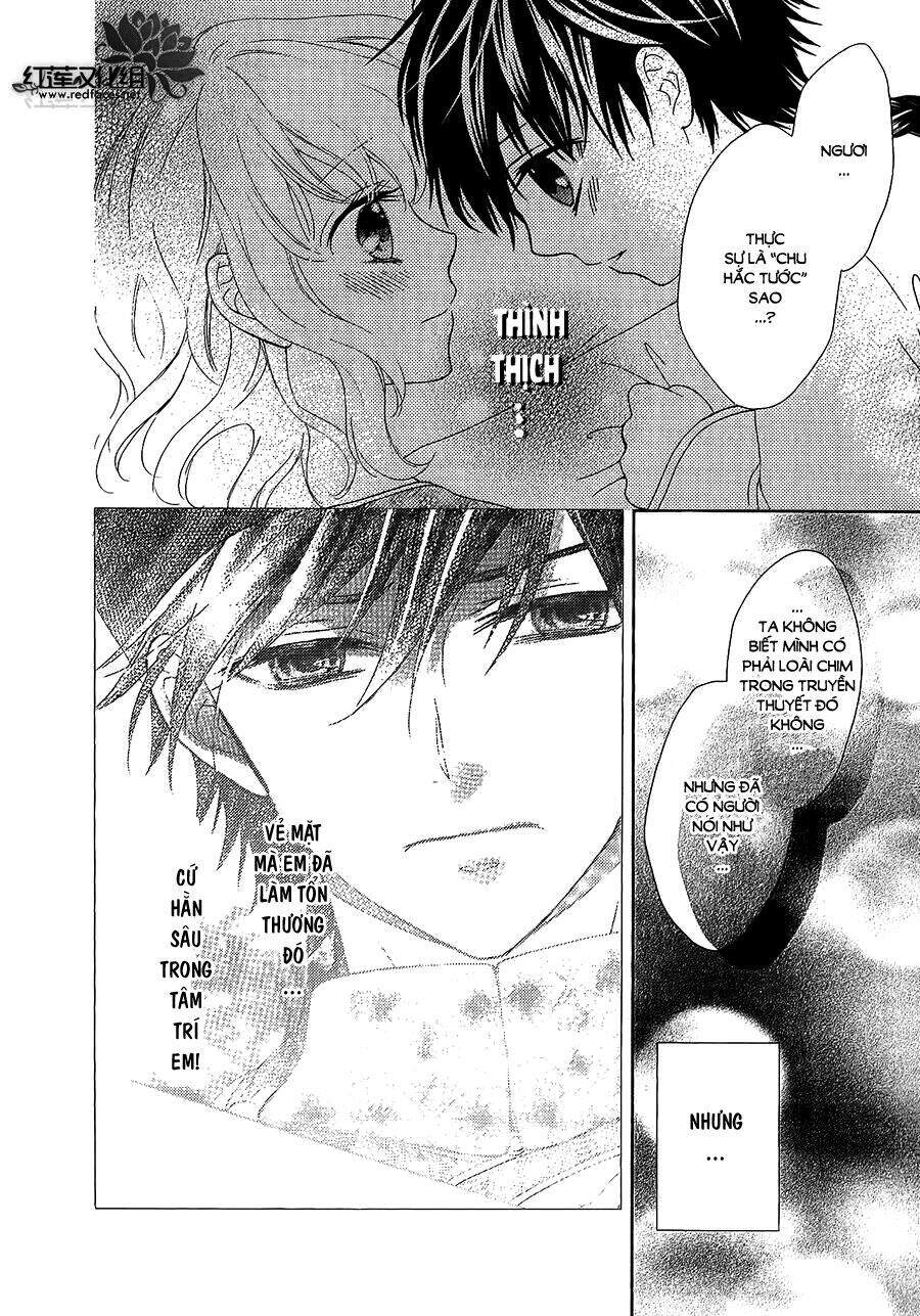 Thiên Mệnh Chi Luyến - Chương 12