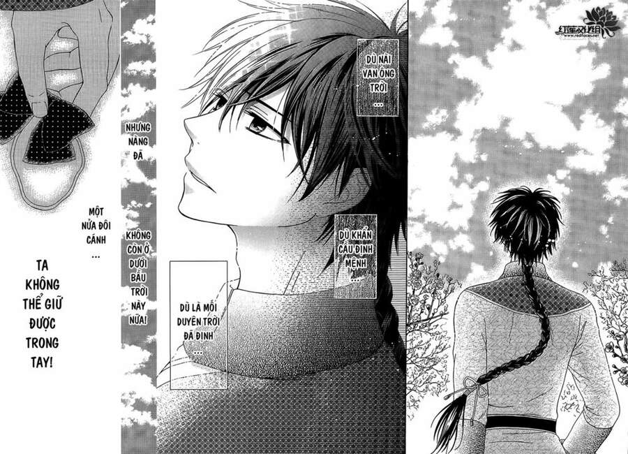 Thiên Mệnh Chi Luyến - Chương 12