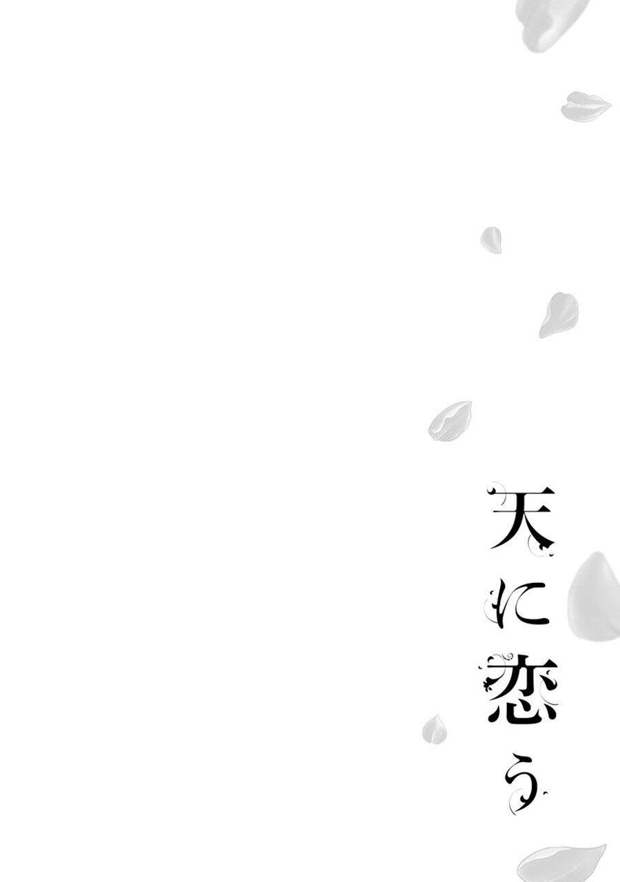 Thiên Mệnh Chi Luyến - Chương 23