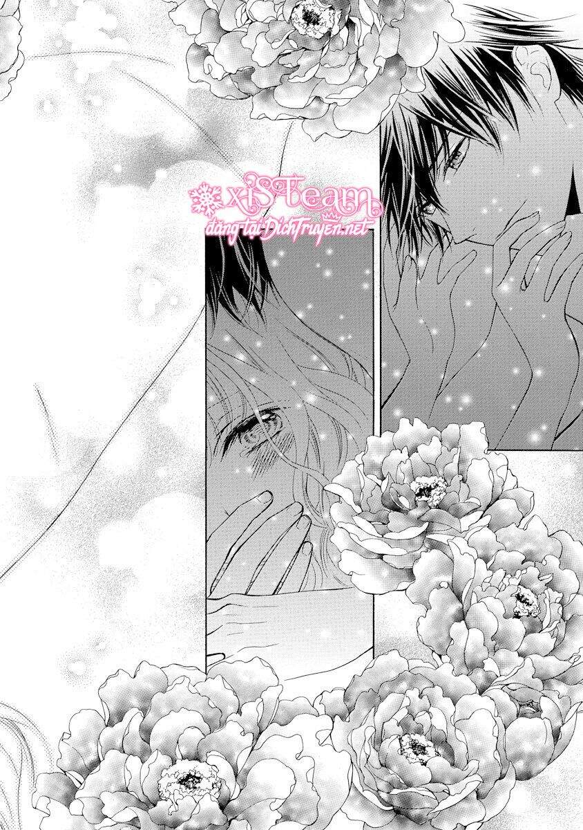 Thiên Mệnh Chi Luyến - Chương 29