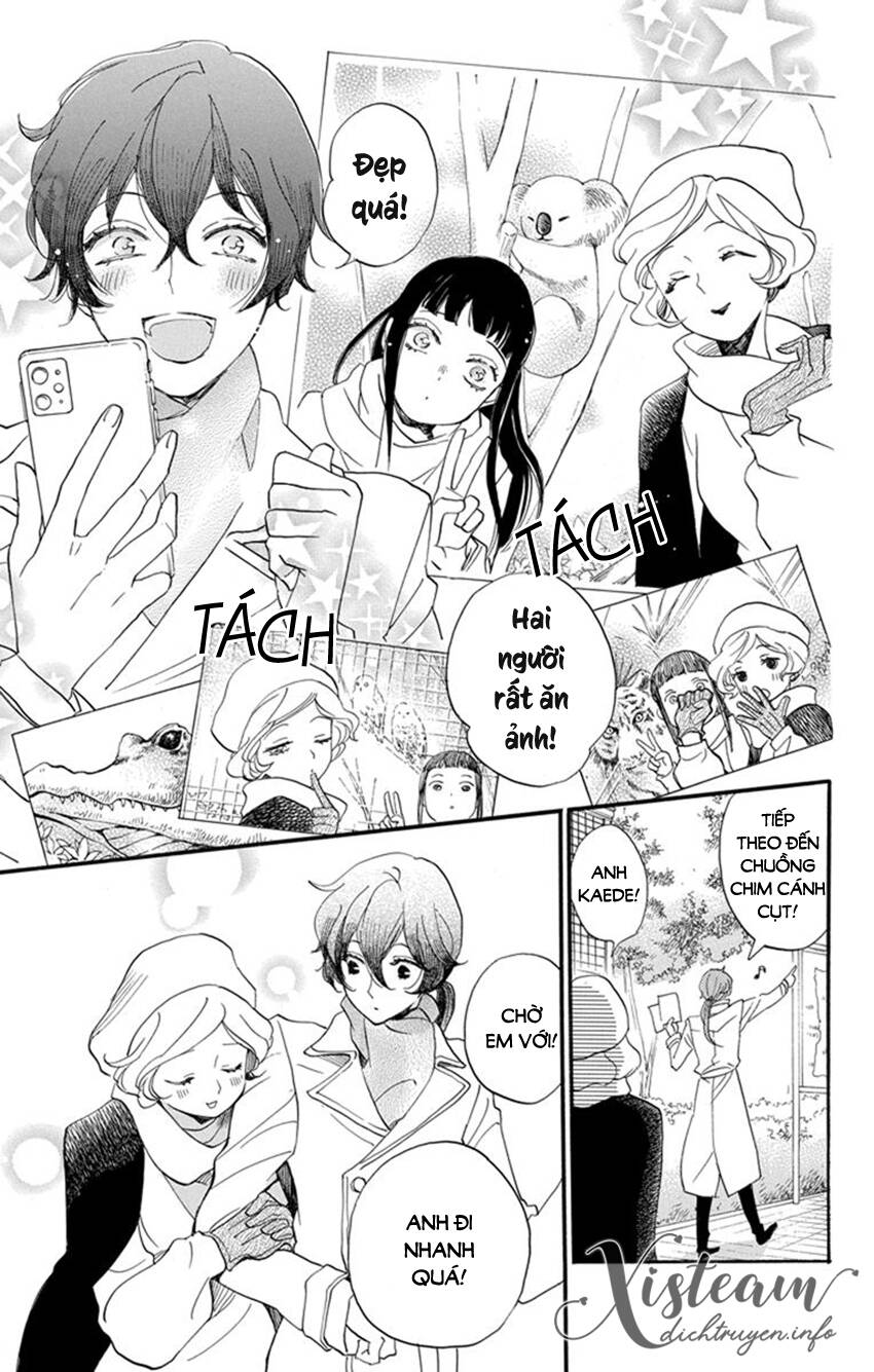 Nin Koi - Chương 23