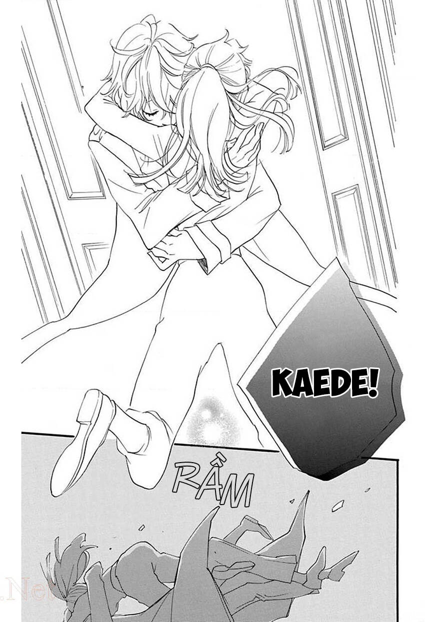 Nin Koi - Chương 28