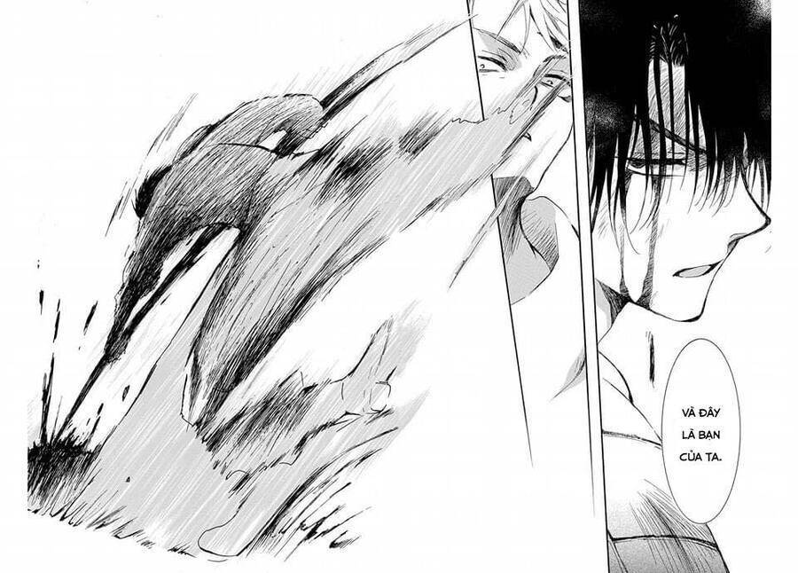 Đóa Hoa Bùng Cháy - Chương 223