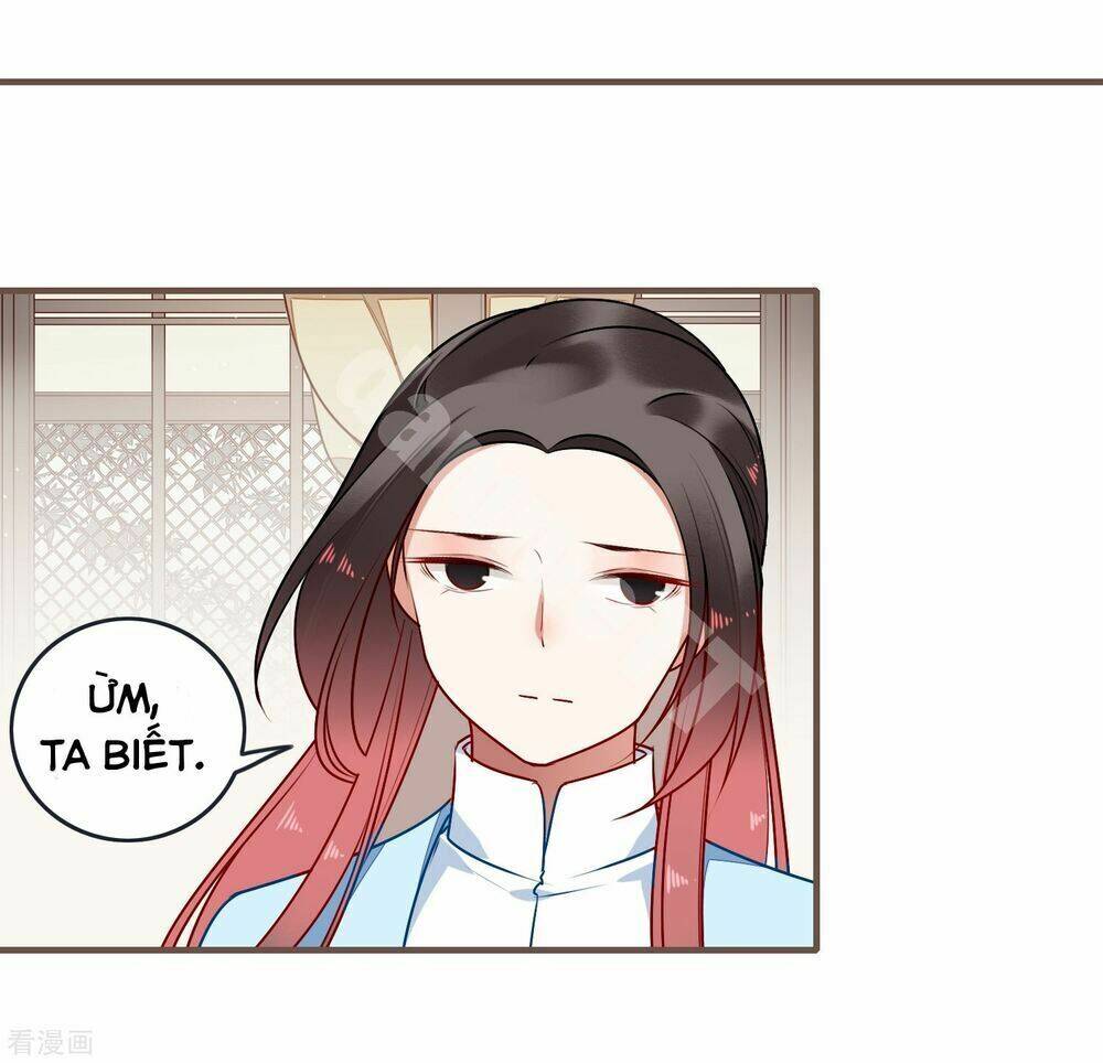 Bỉ Ngạn Hoa - Chương 31