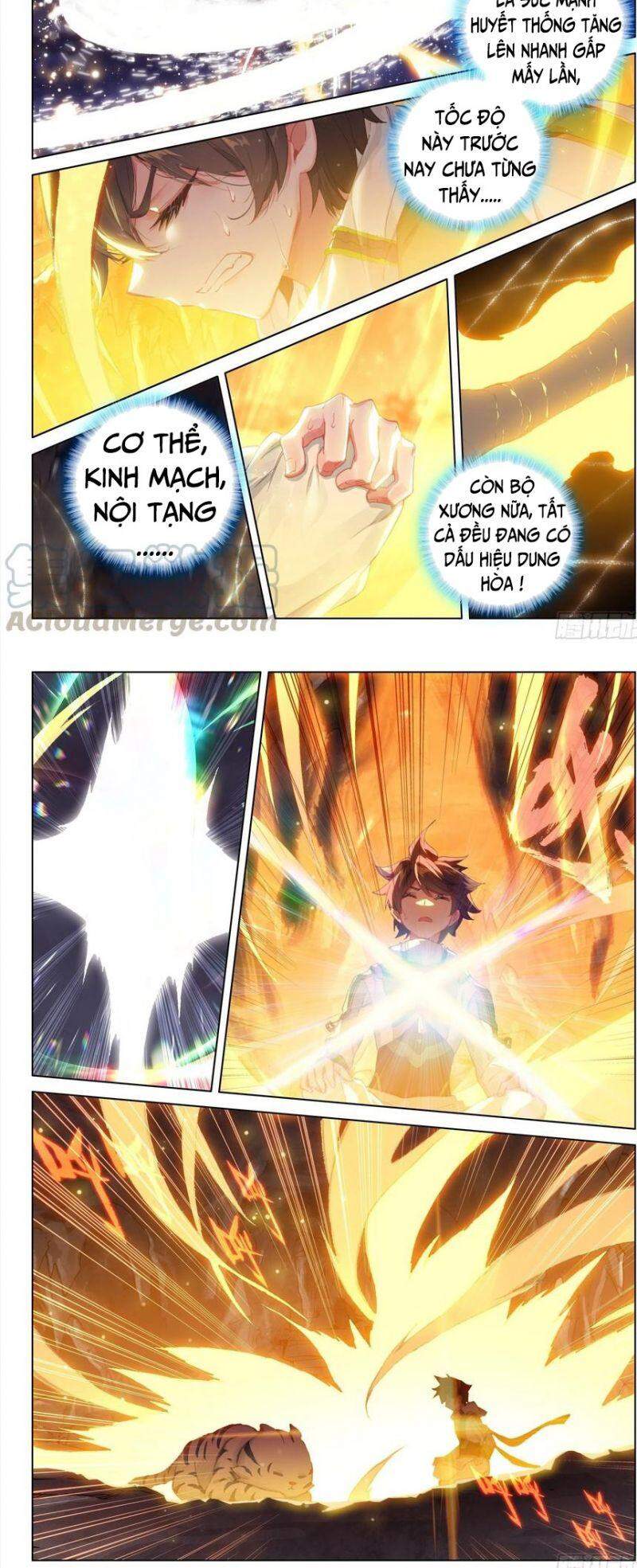 Chung Cực Đấu La - Chương 256