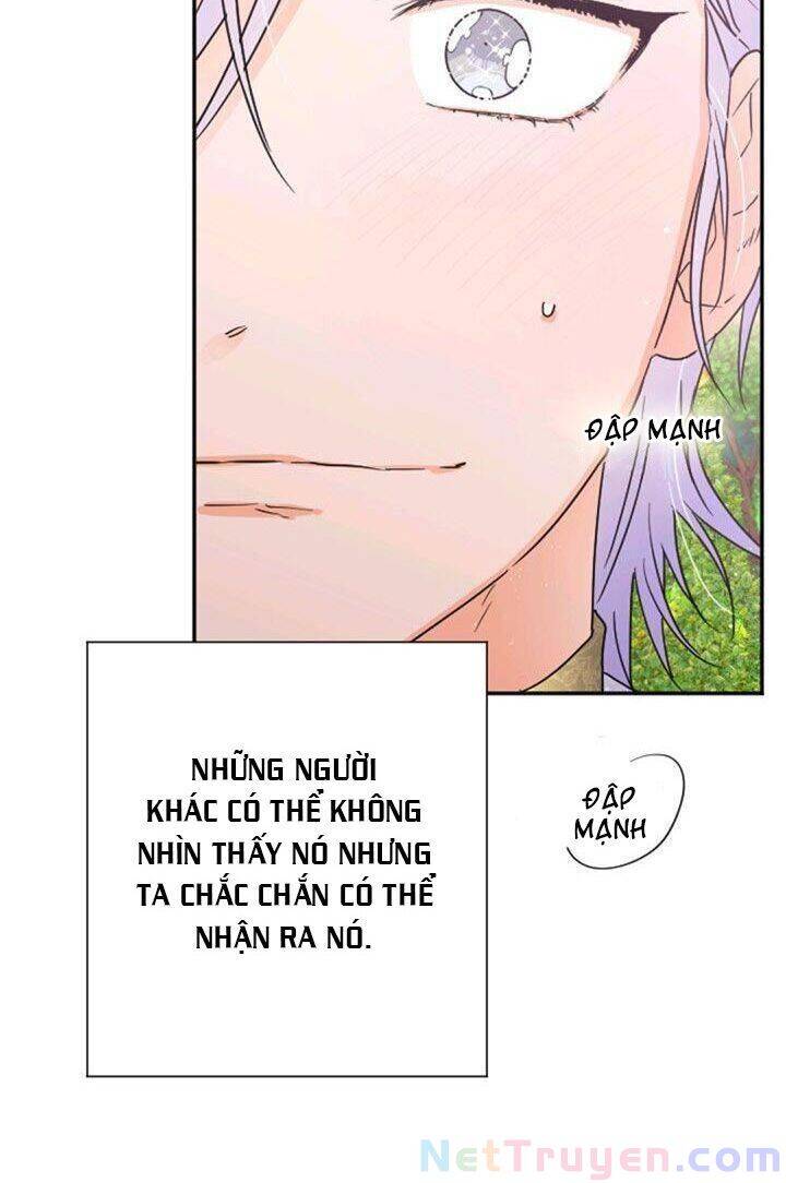 Tiểu Thư Bé Bỏng Đáng Yêu! - Chương 117