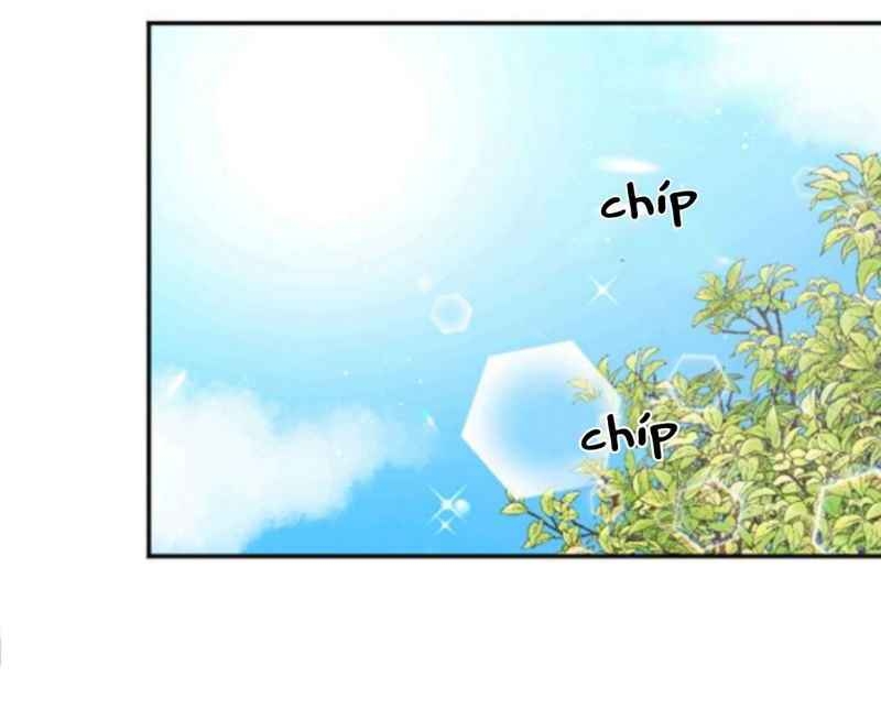 Tiểu Thư Bé Bỏng Đáng Yêu! - Chương 112