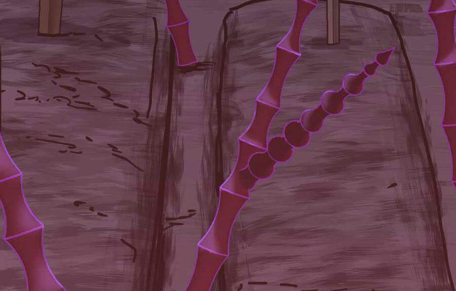 Ánh Sáng Cuối Con Đường - Chương 120