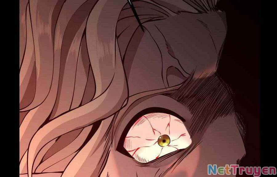 Ánh Sáng Cuối Con Đường - Chương 139