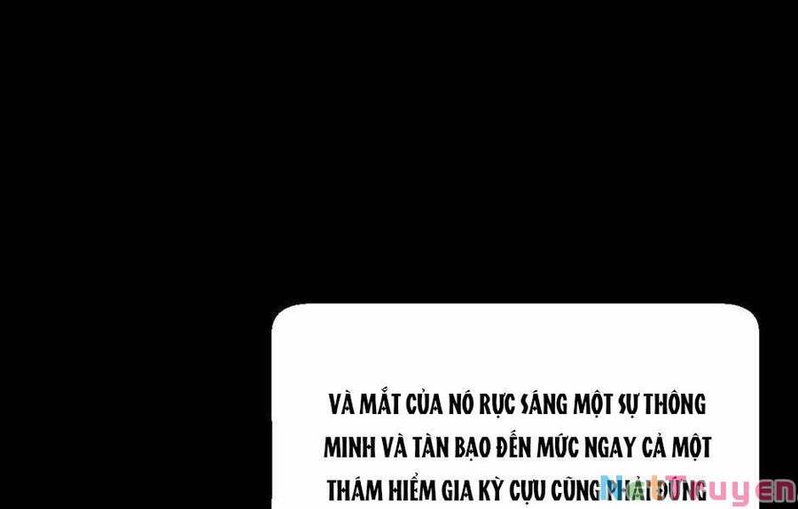 Ánh Sáng Cuối Con Đường - Chương 139