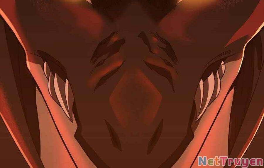 Ánh Sáng Cuối Con Đường - Chương 139