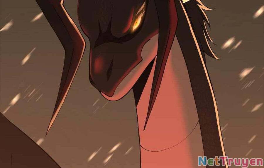 Ánh Sáng Cuối Con Đường - Chương 139