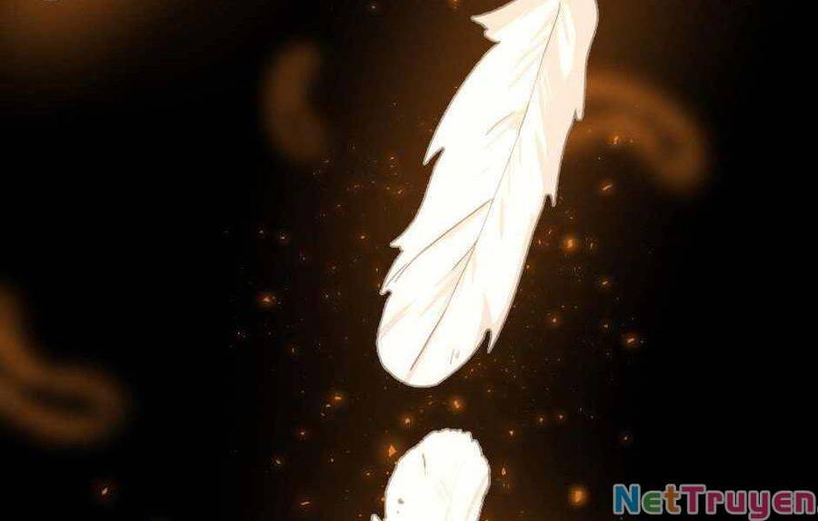 Ánh Sáng Cuối Con Đường - Chương 139