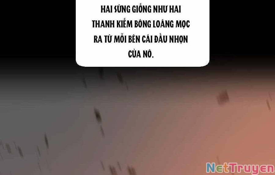 Ánh Sáng Cuối Con Đường - Chương 139